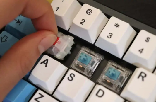 A Step-by-Step Guide on Building Your Own Mechanical Switch