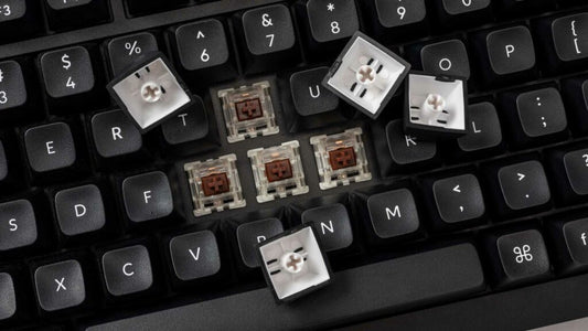 All About Clicky Switch Mechanisms