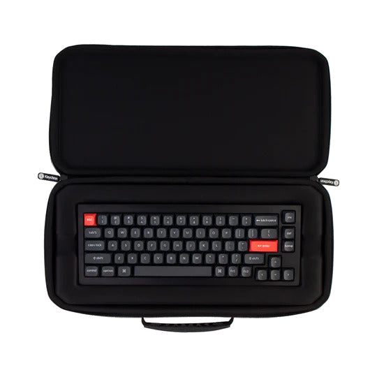 Keyboard Carrying Case 11