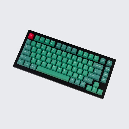 Q1 & K2 OEM Dye-Sub PBT Keycap Set - Forest 1