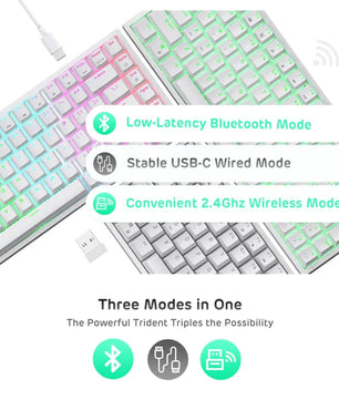 RK84 Royal Kludge 75% Wireless Mechanical Keyboard 24