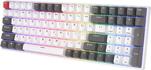 RK Royal Kludge RK100 Tri-Mode RGB Hot Swap Mechanical Keyboard