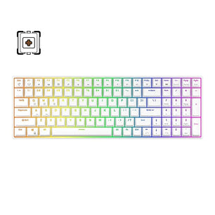 RK Royal Kludge RK100 Tri-Mode RGB Hot Swap Mechanical Keyboard