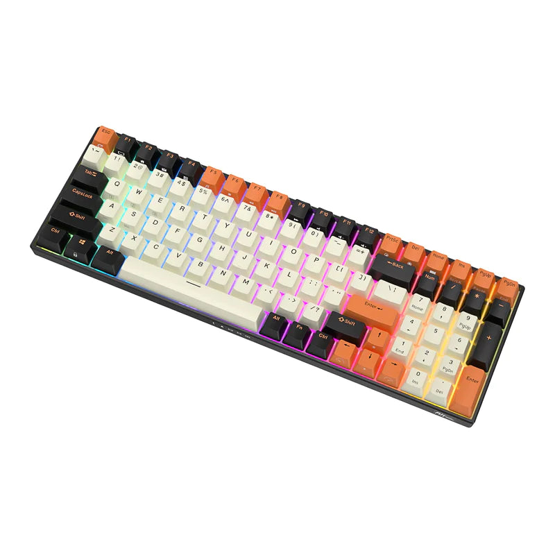 RK Royal Kludge RK100 Tri-Mode RGB Hot Swap Mechanical Keyboard