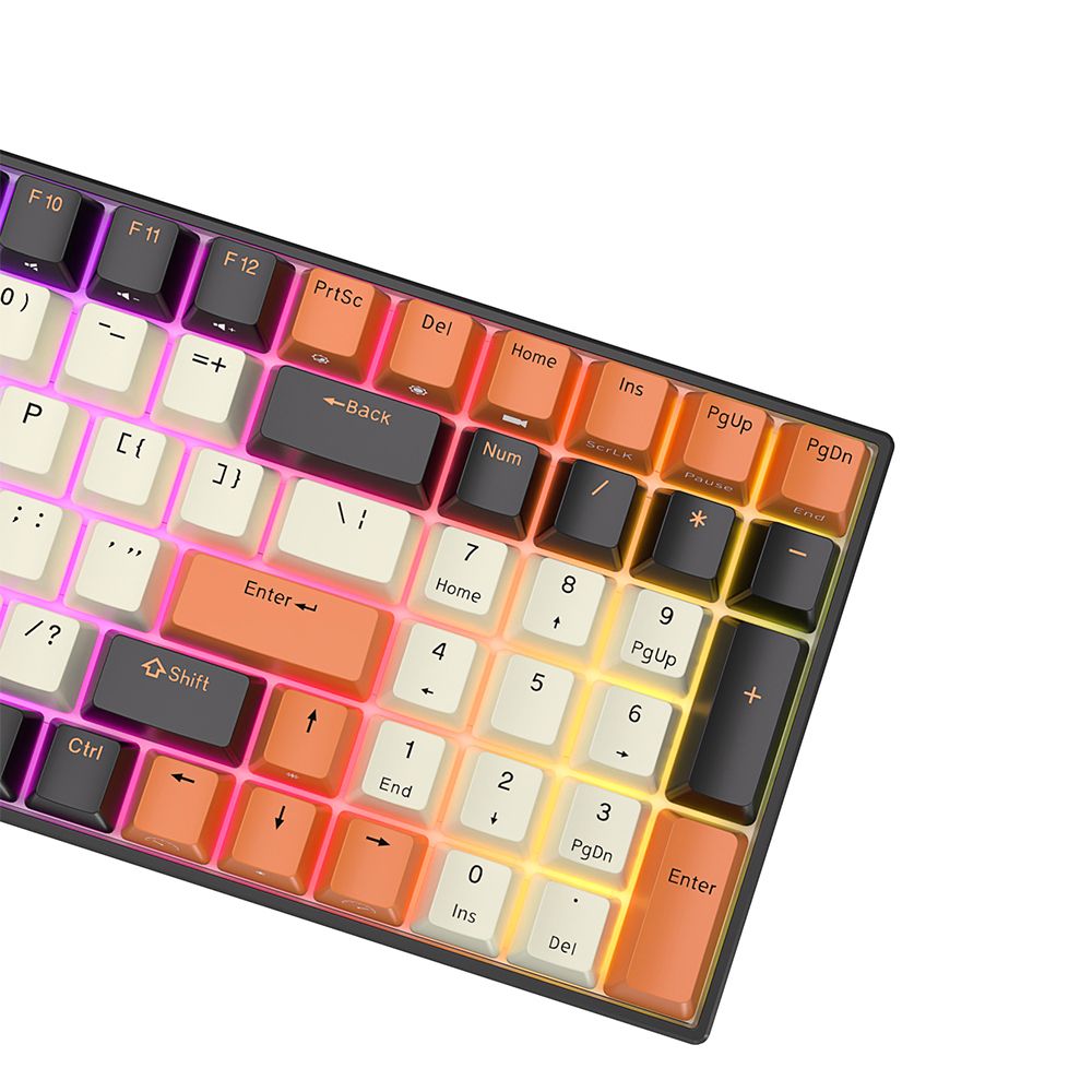 RK Royal Kludge RK100 Tri-Mode RGB Hot Swap Mechanical Keyboard